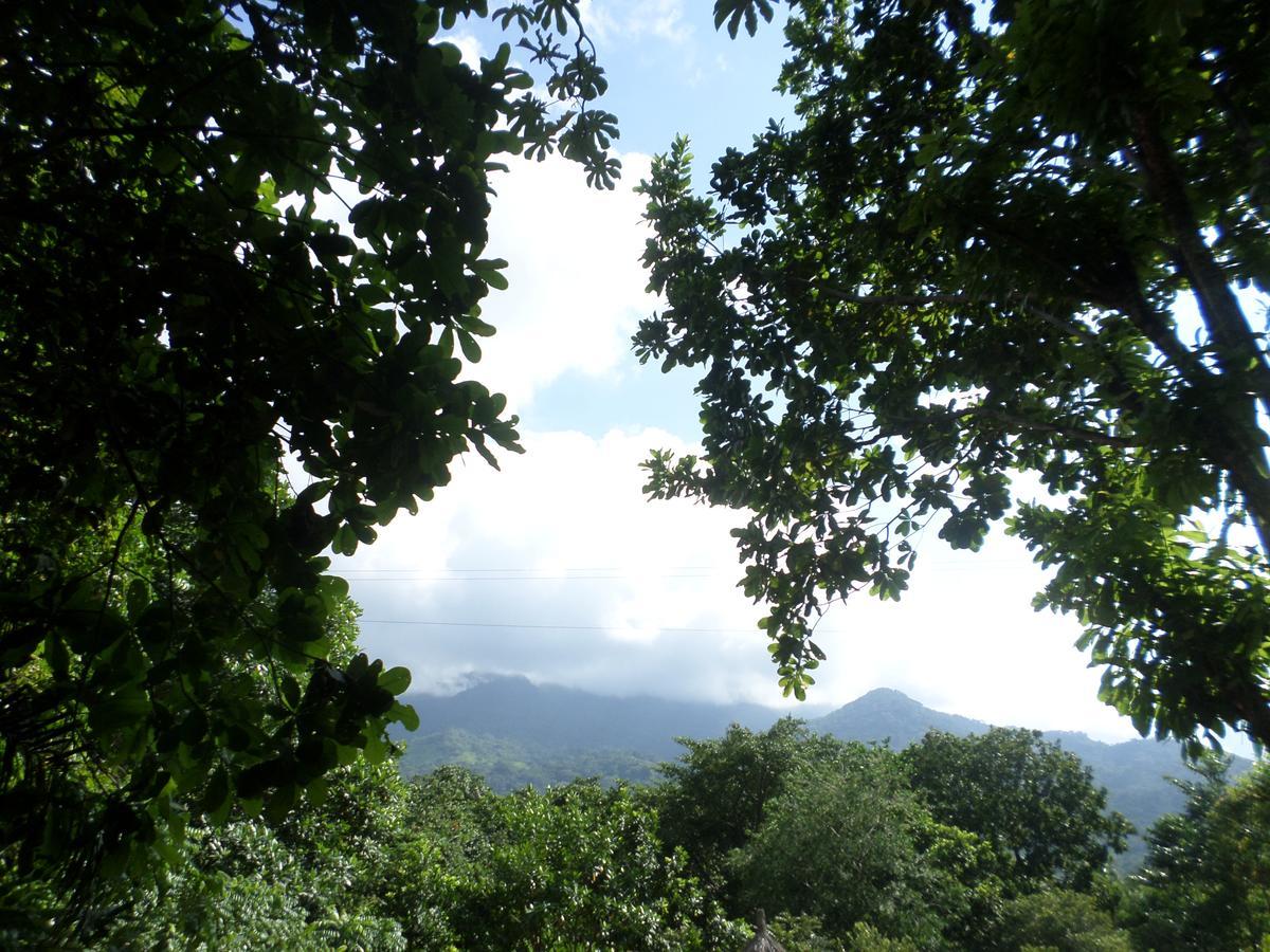 Las Mananitas De La Sierra El Zaino Exterior photo